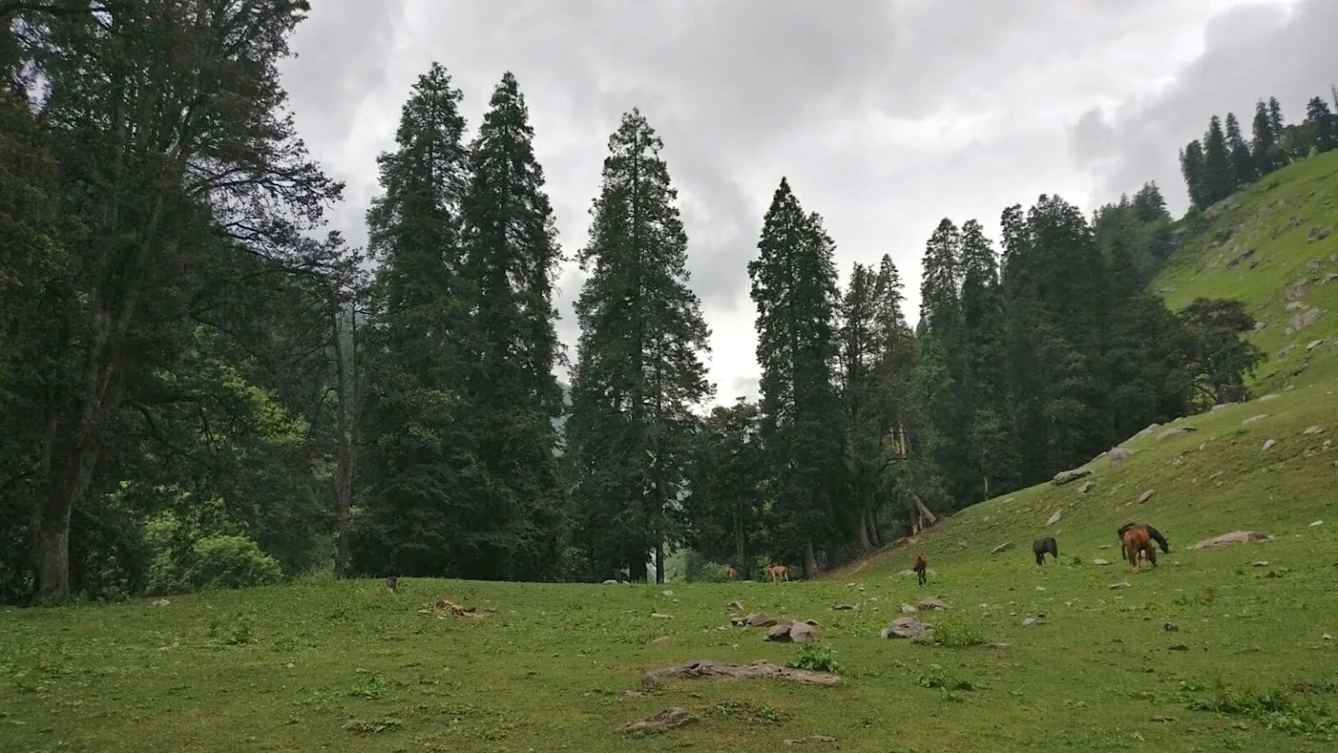 Himachal Group Adventure Tour